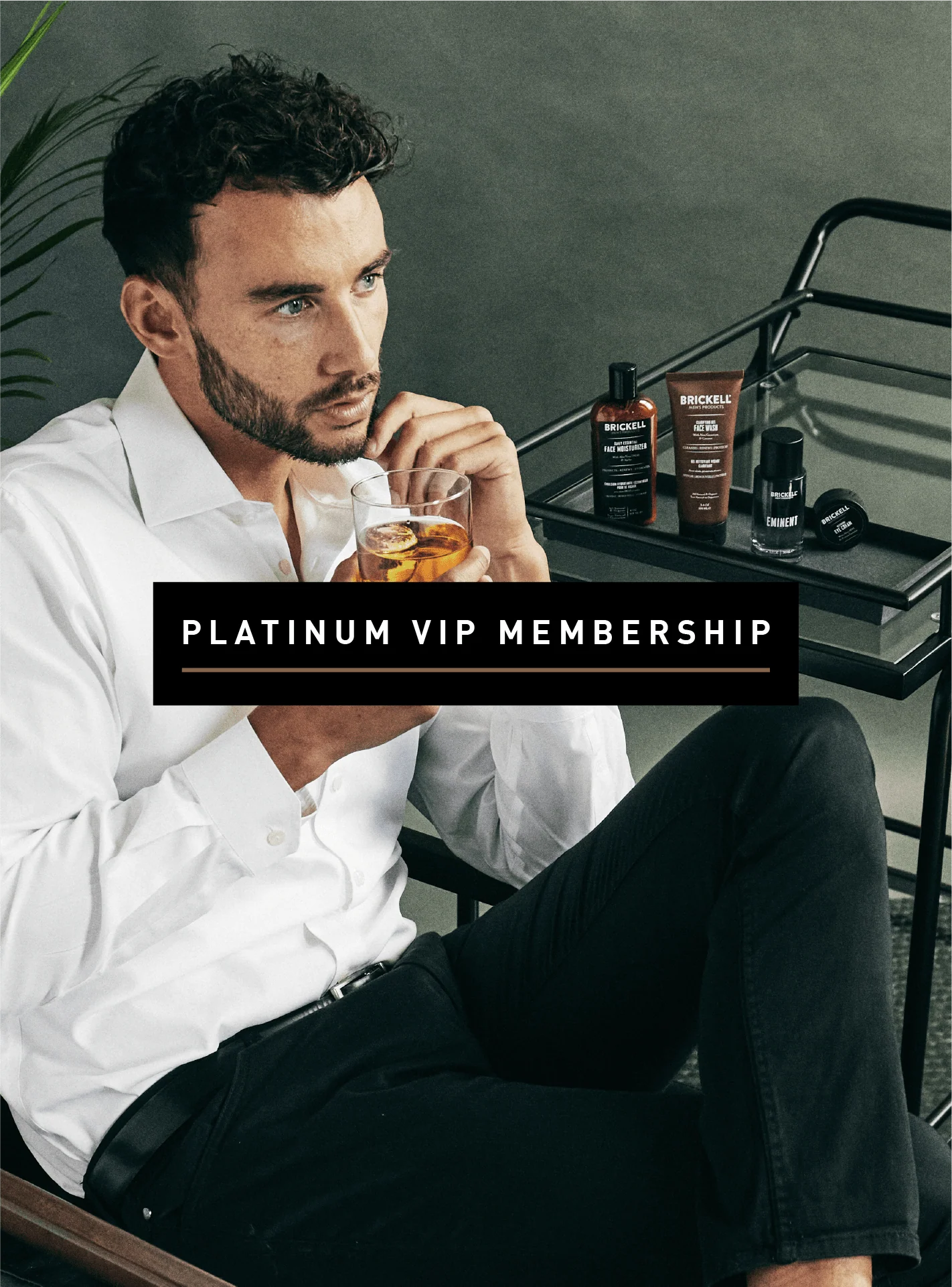 VIP Subscription Gift - Image 2